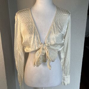 ARITZIA WILFRED Tie Front Viscose Too Button Front Champagne Cupro Satin Size XS